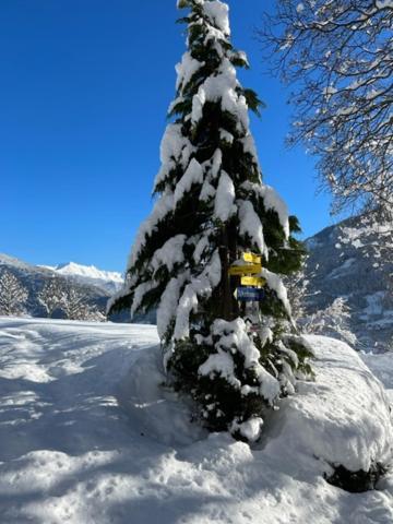 Traumapartment Murmeltier Tirol Grins Exterior foto