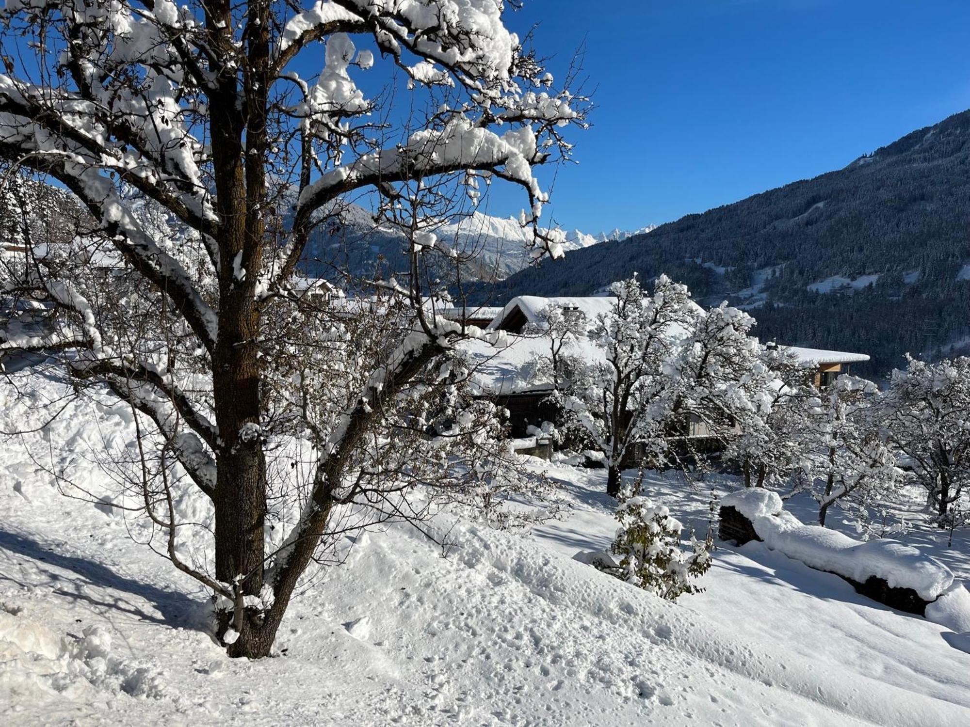 Traumapartment Murmeltier Tirol Grins Exterior foto